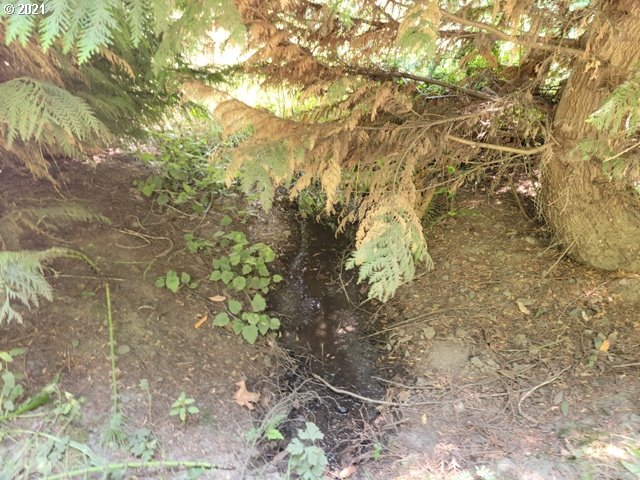 96864 Larson Lane North Bend, OR 97459 - Photo 26 of 31