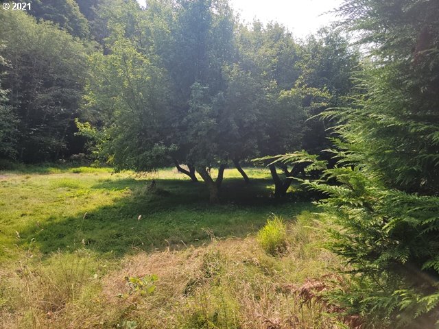 96864 Larson Lane North Bend, OR 97459 - Photo 27 of 31