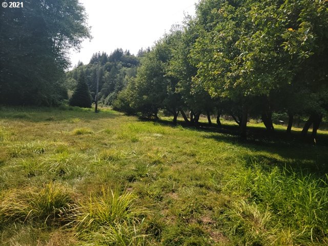 96864 Larson Lane North Bend, OR 97459 - Photo 28 of 31