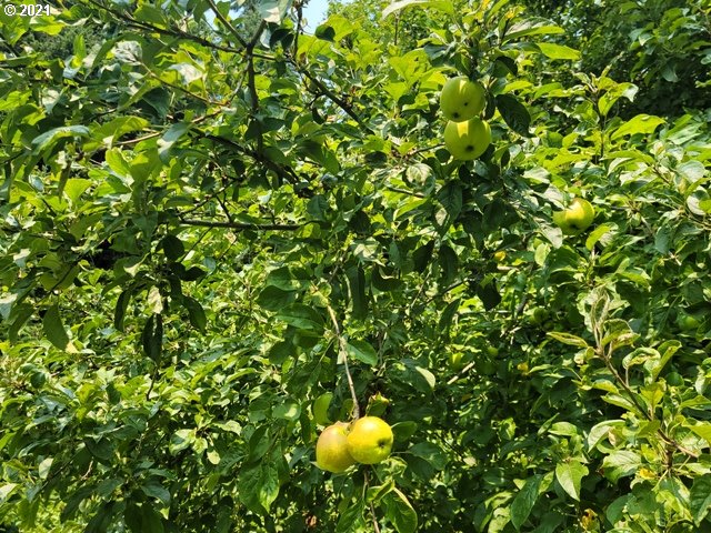 96864 Larson Lane North Bend, OR 97459 - Photo 31 of 31