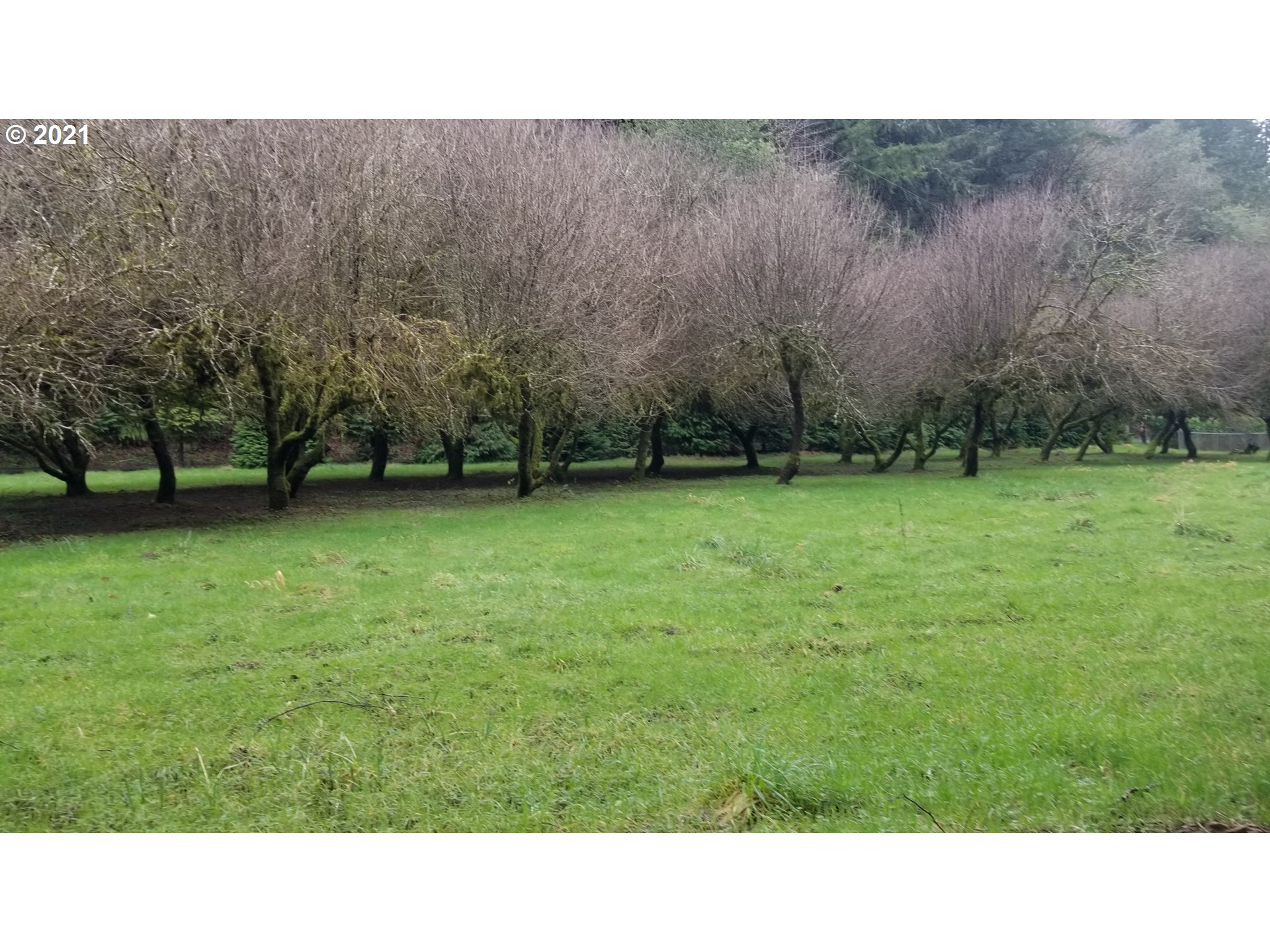 96864 Larson Lane North Bend, OR 97459 - Photo 5 of 31