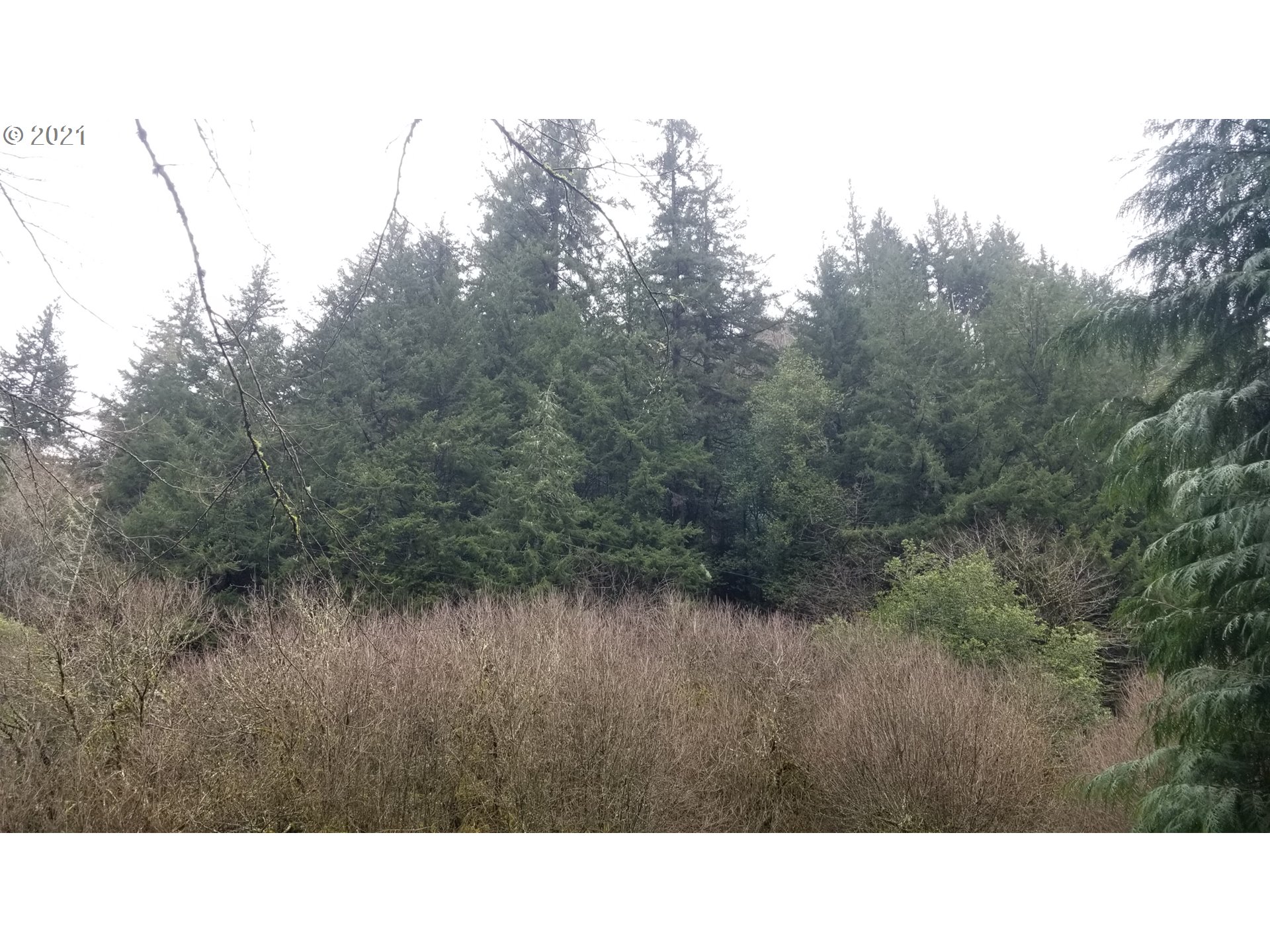 96864 Larson Lane North Bend, OR 97459 - Photo 6 of 31