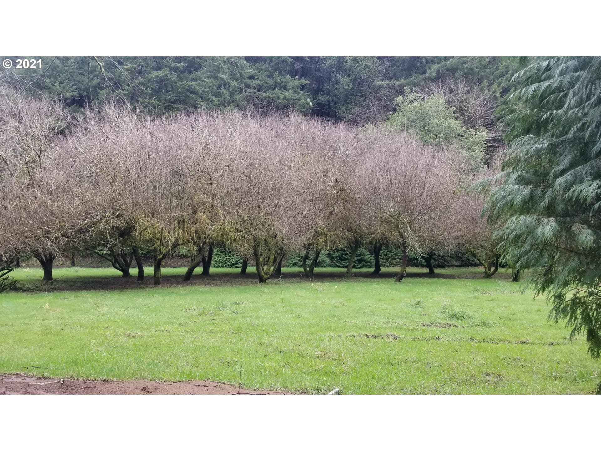 96864 Larson Lane North Bend, OR 97459 - Photo 7 of 31