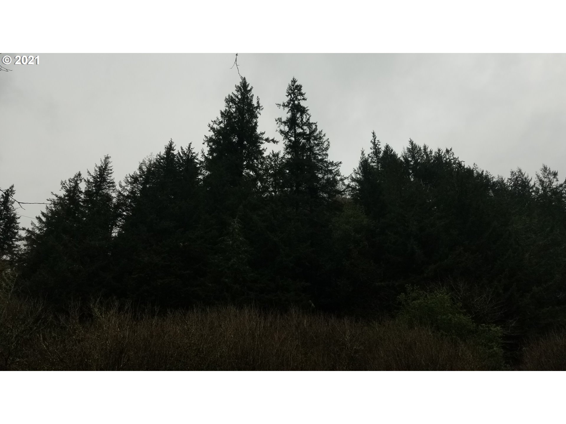 96864 Larson Lane North Bend, OR 97459 - Photo 9 of 31