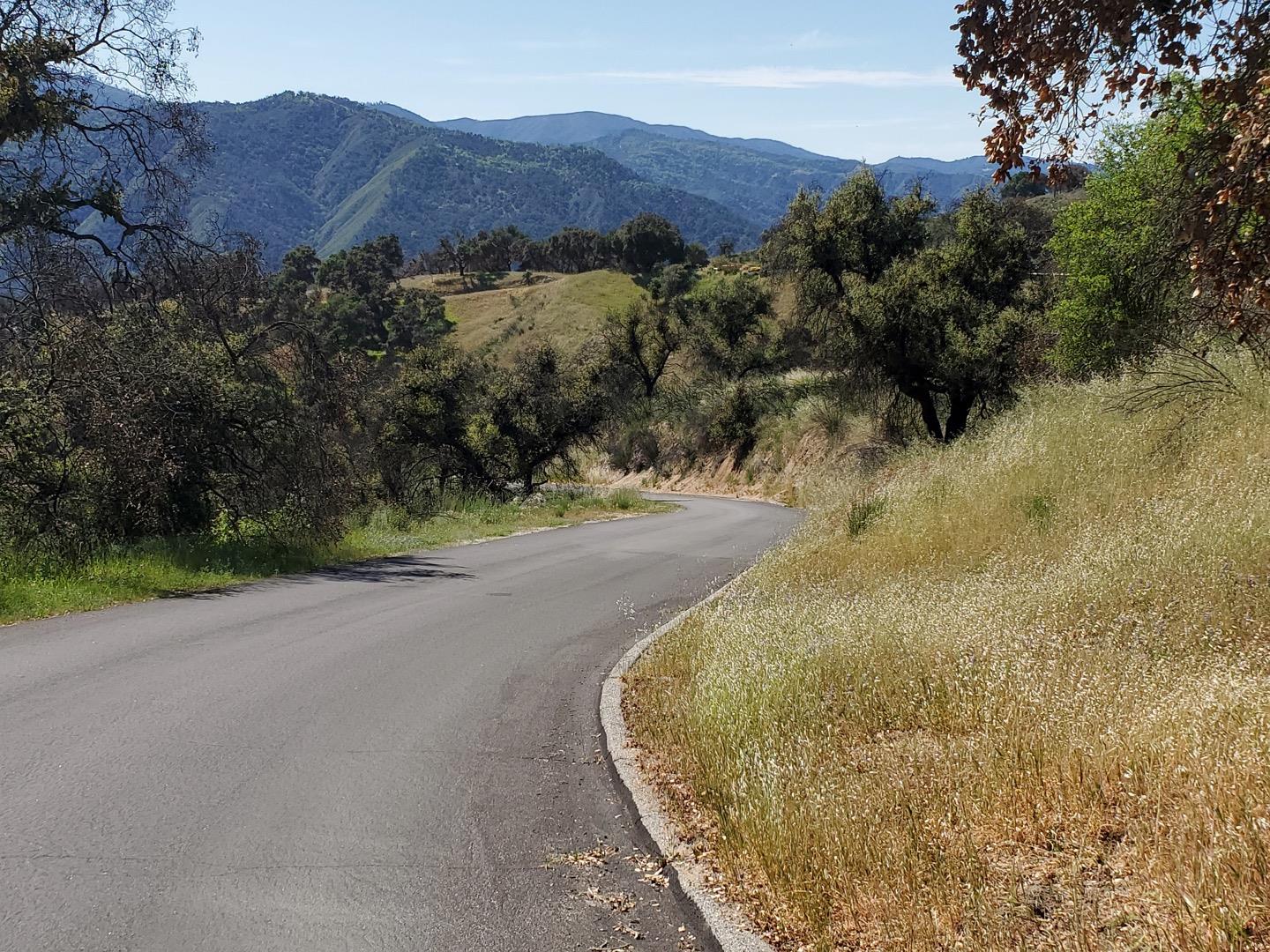 0 Cachagua Road Carmel Valley, CA 93924 - Photo 2 of 14 a view of a dry yard with a yard