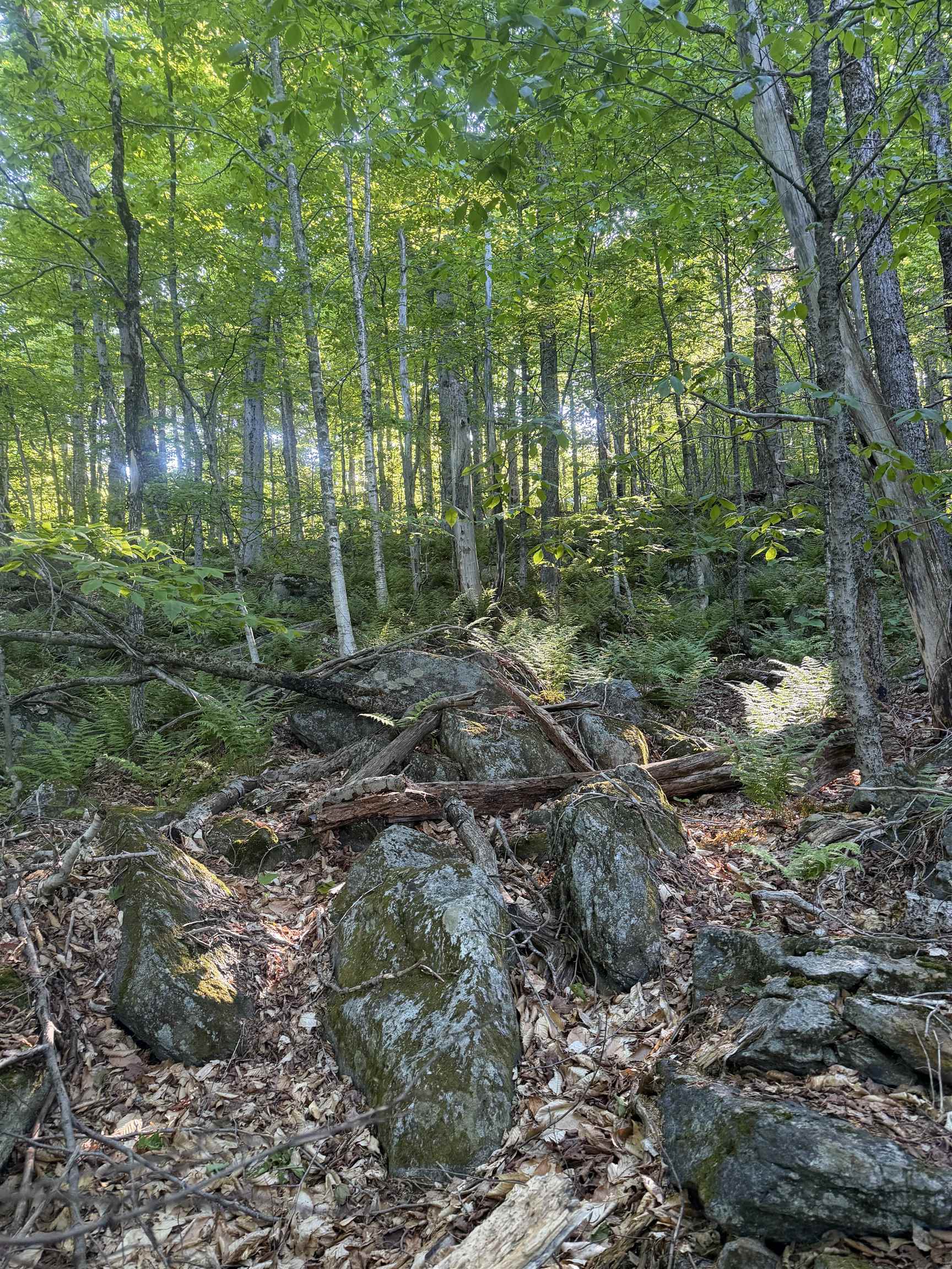 Scattered Timber Road Wilmington, VT 05363 - Photo 19 of 24