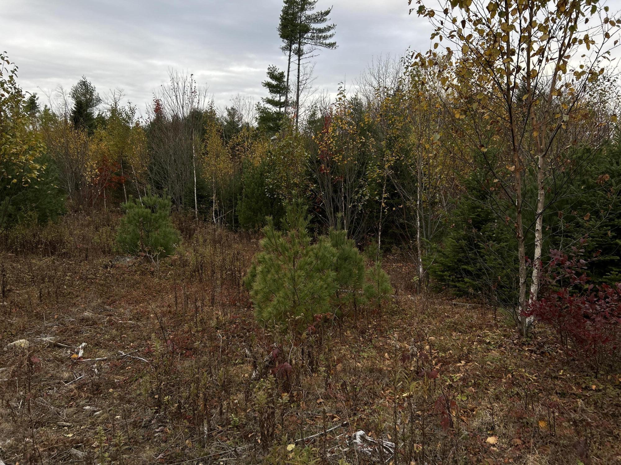 401 Genthner Road Waldoboro, ME 04572 - Photo 28 of 35