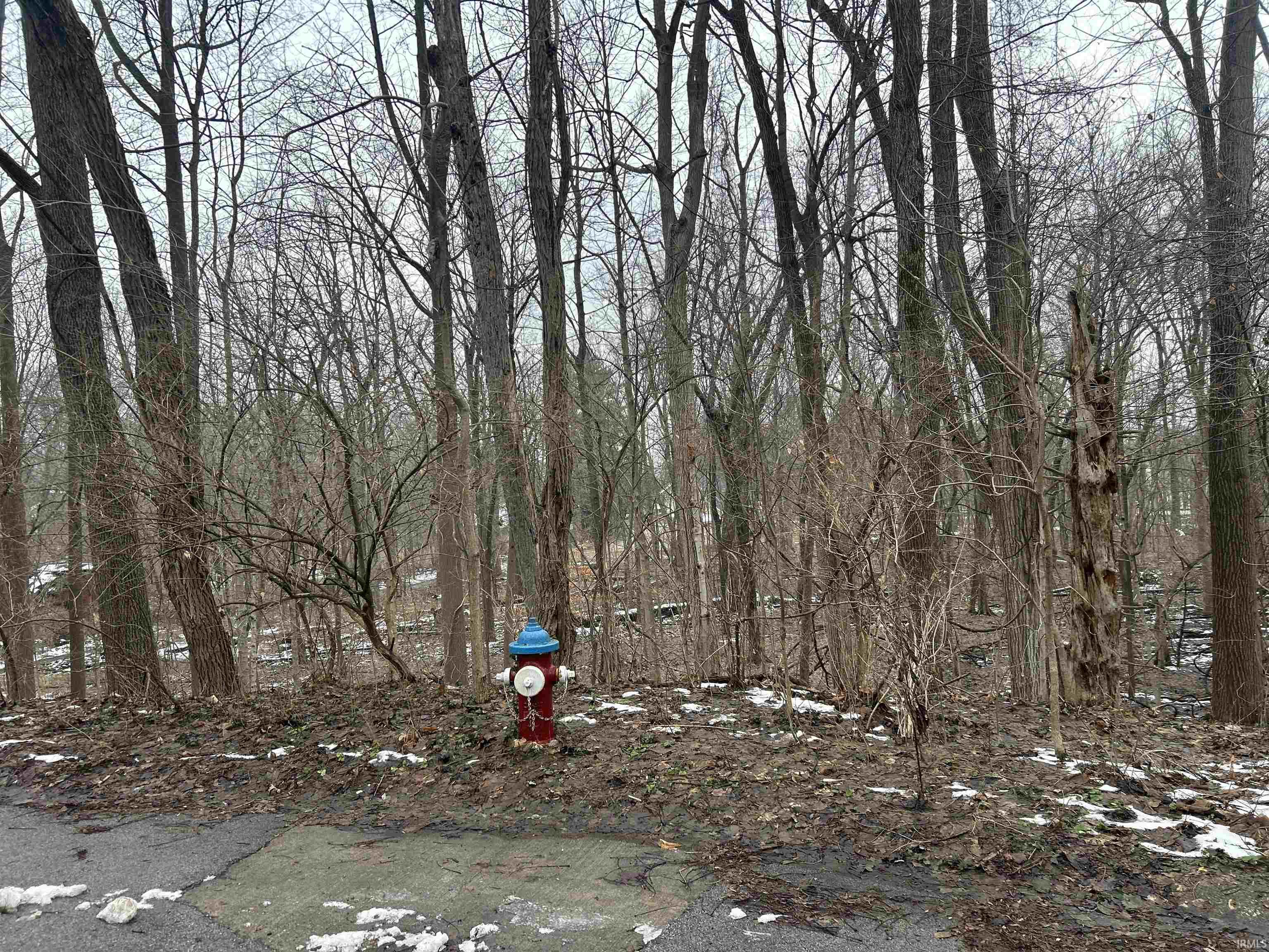 703 Triple Crown Road Mishawaka, IN 46544 - Photo 7 of 8