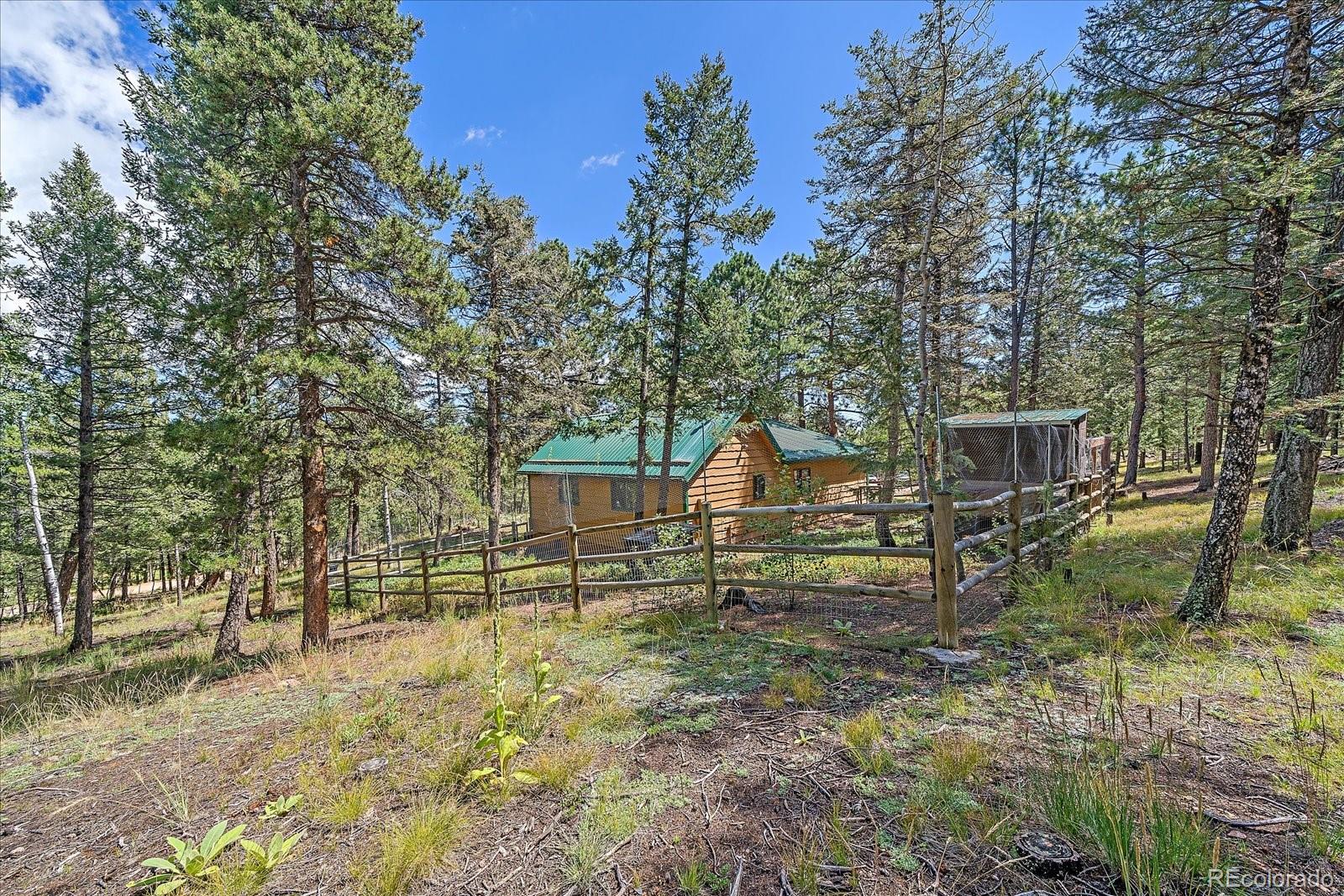 321 Tapadero Road Bailey, CO 80421 - Photo 6 of 34