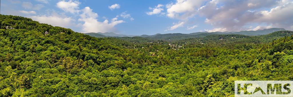 Lot 8 Ravenel Ridge Highlands, NC 28741 - Photo 3 of 21 Gallery Image 3