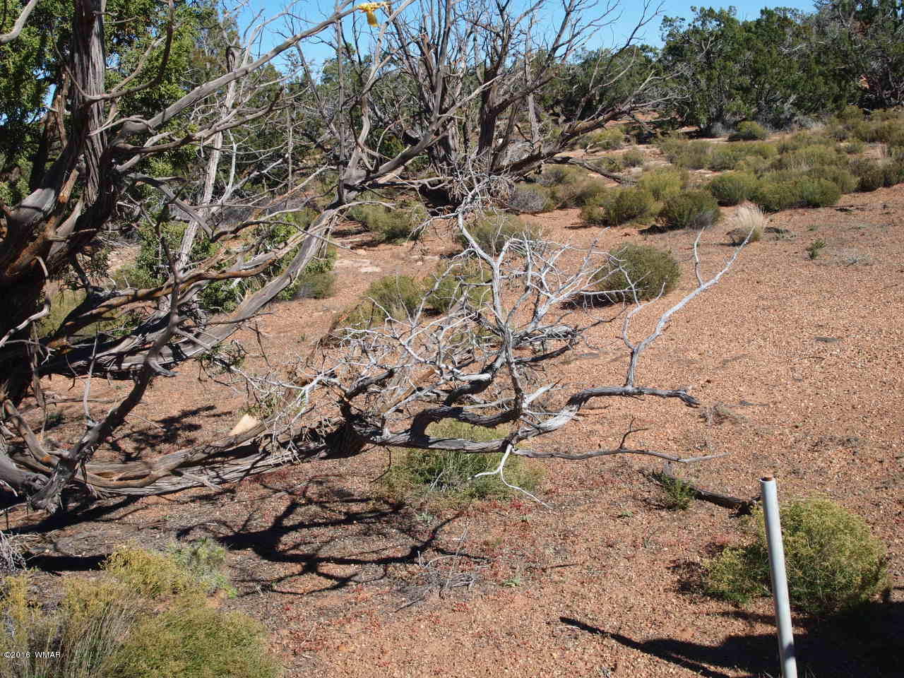 5368 Old Woodruff Road Snowflake, AZ 85937 - Photo 2 of 9