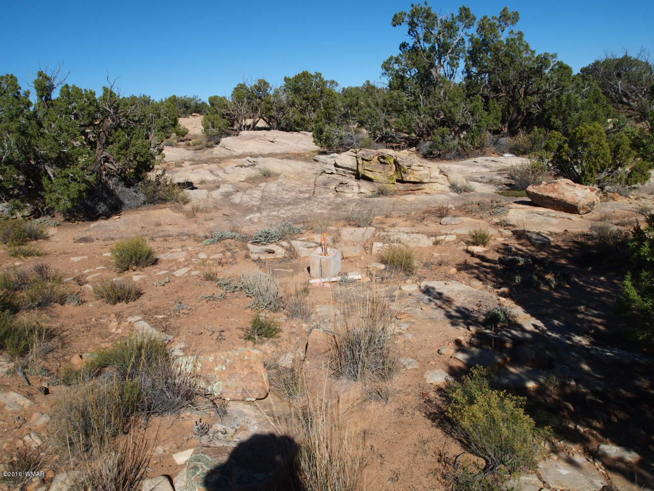 5368 Old Woodruff Road Snowflake, AZ 85937 - Photo 5 of 9