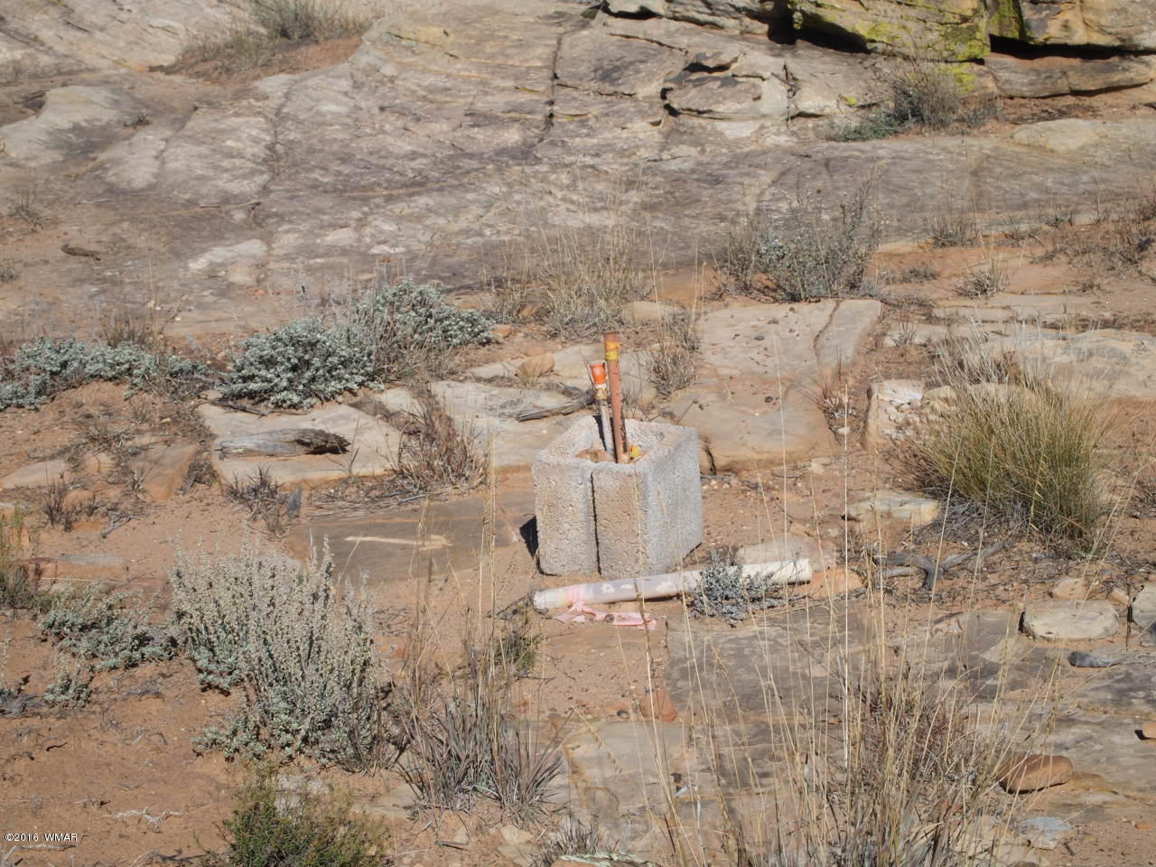 5368 Old Woodruff Road Snowflake, AZ 85937 - Photo 6 of 9