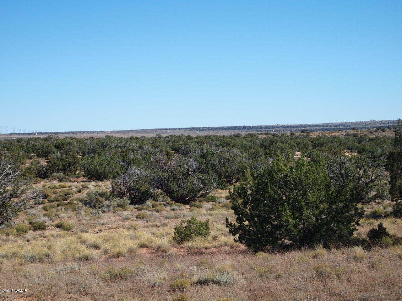 5368 Old Woodruff Road Snowflake, AZ 85937 - Photo 7 of 9
