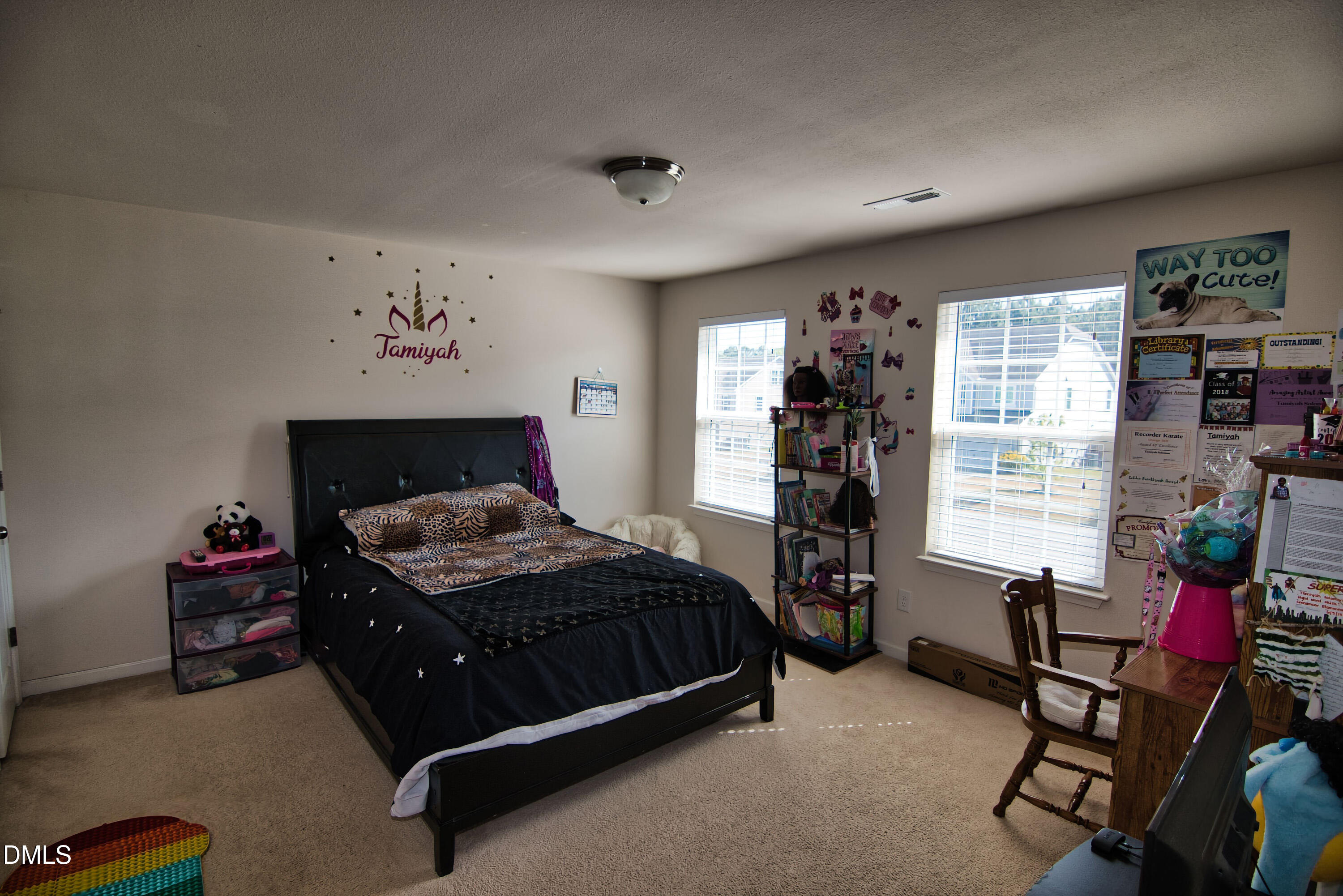 715 Forrest Lane Creedmoor, NC 27522 - Photo 13 of 18 715 Forrest Bedroom 2