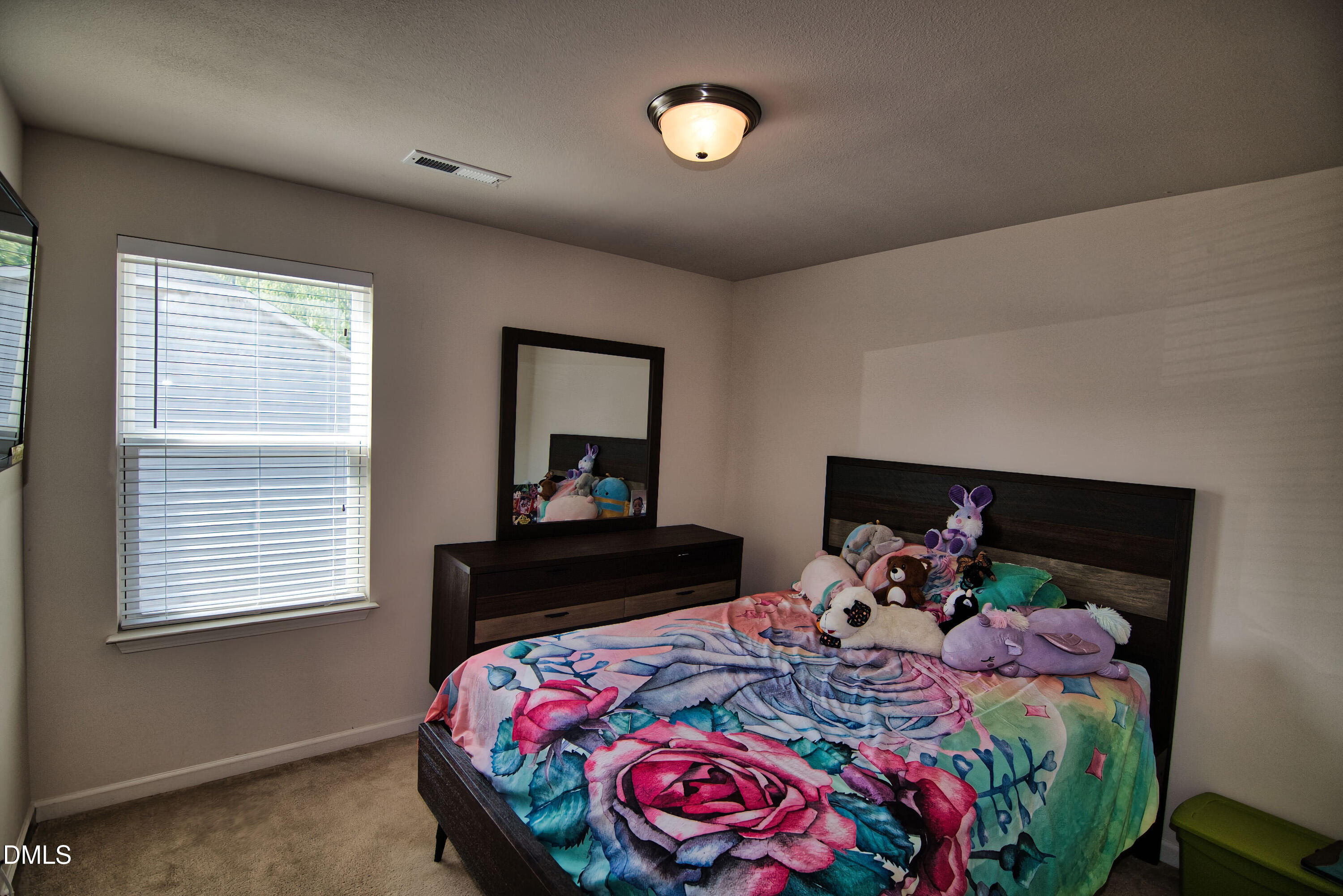 715 Forrest Lane Creedmoor, NC 27522 - Photo 15 of 18 715 Forrest Lane 3