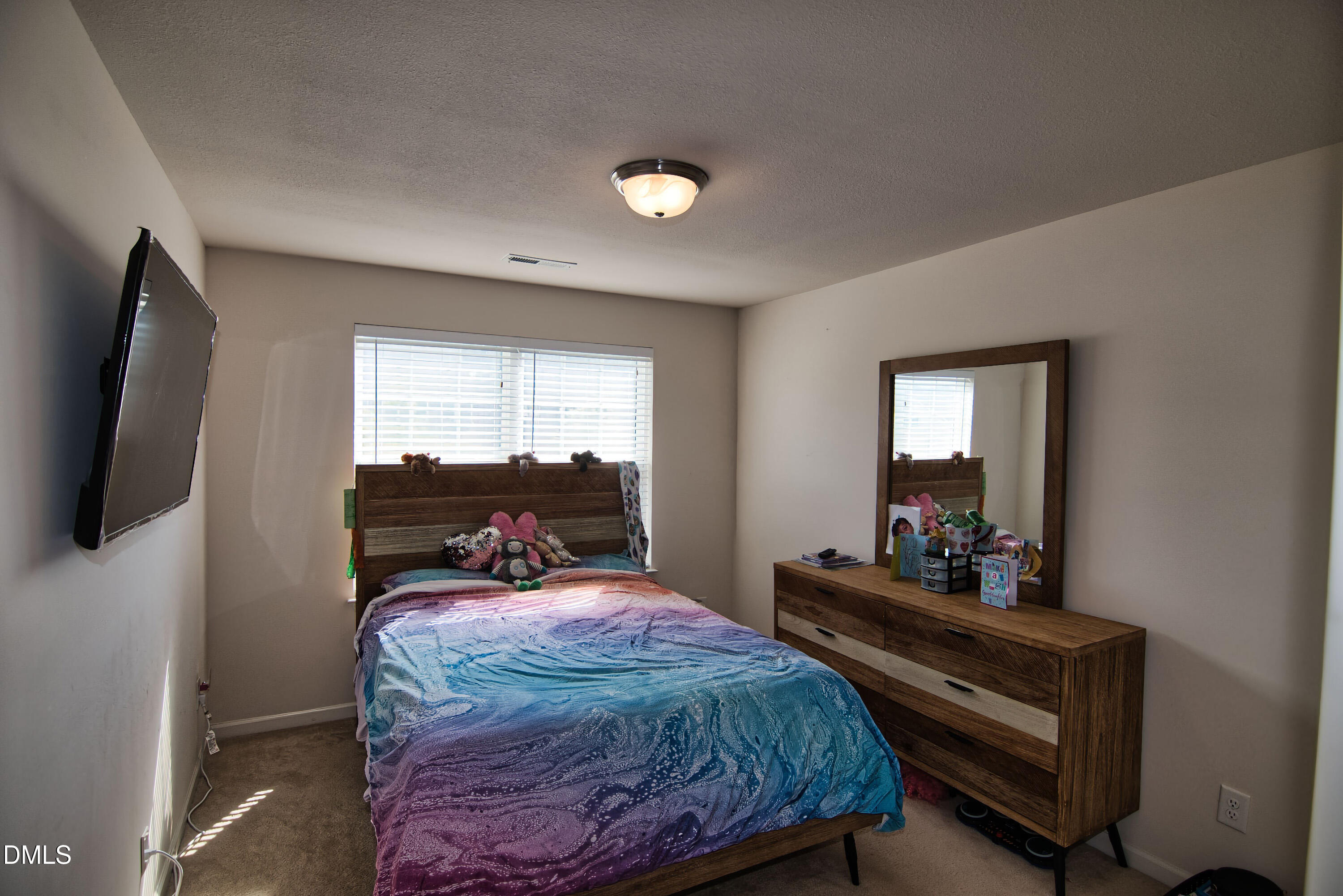715 Forrest Lane Creedmoor, NC 27522 - Photo 16 of 18 715 Forrest Lane Bedroom 4