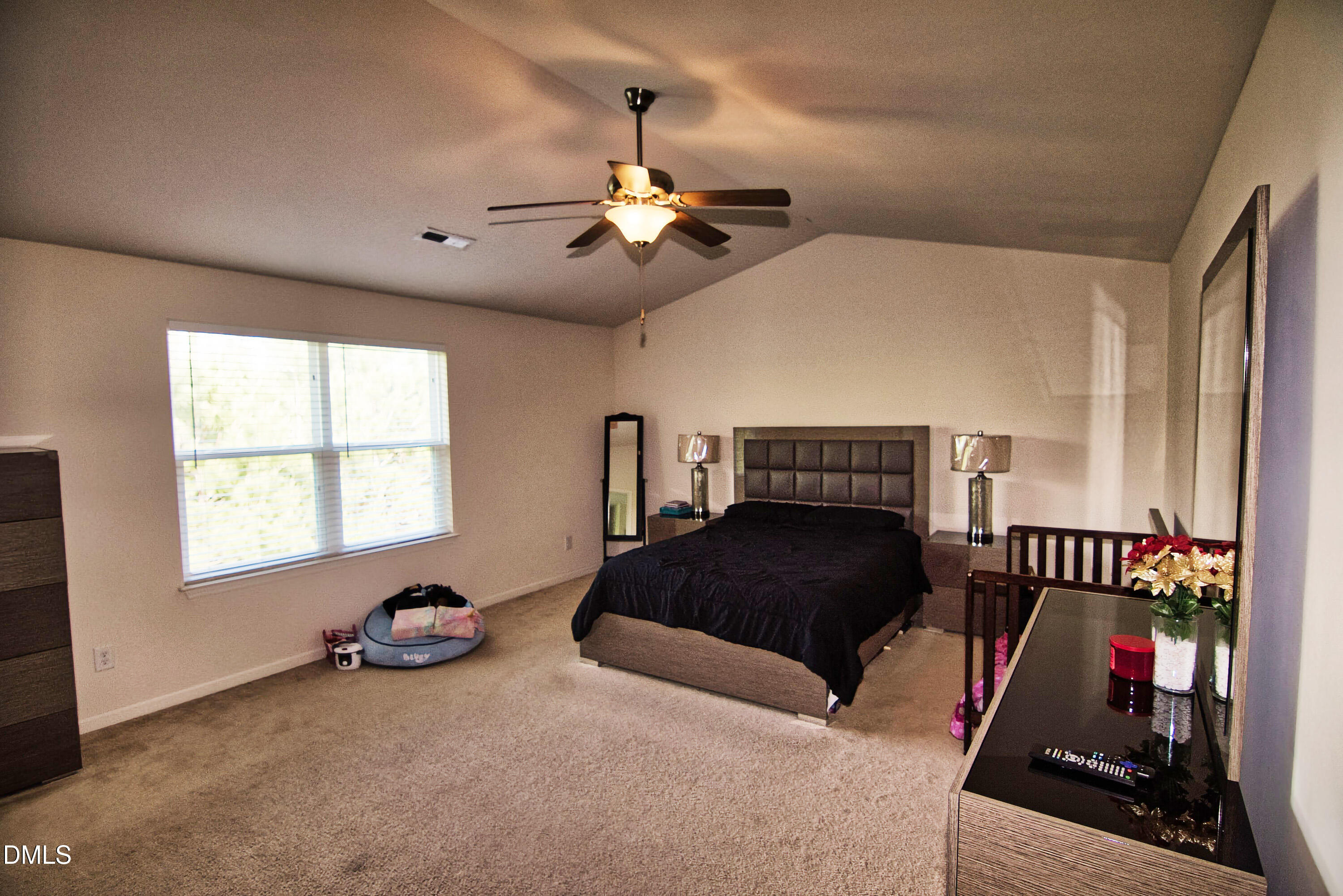 715 Forrest Lane Creedmoor, NC 27522 - Photo 10 of 18 715 Forrest Lane Owners Suite