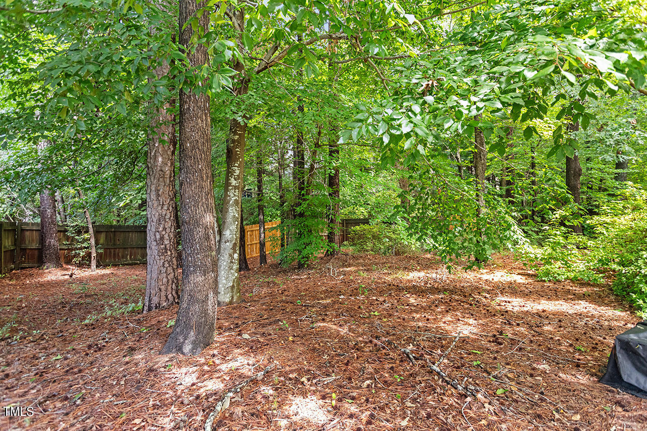 8424 Eagle View Drive Durham, NC 27713 - Photo 23 of 24 8424 Eagle View Drive_08