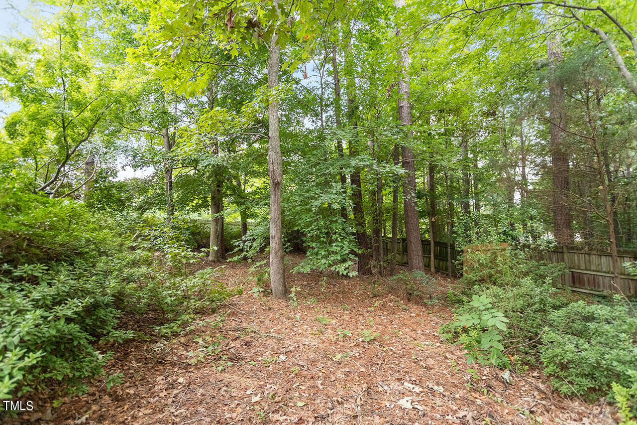 8424 Eagle View Drive Durham, NC 27713 - Photo 24 of 24 8424 Eagle View Dr-09