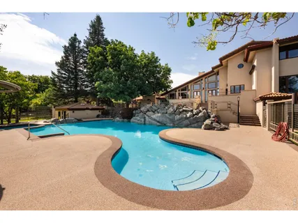 a view of a swimming pool with a garden