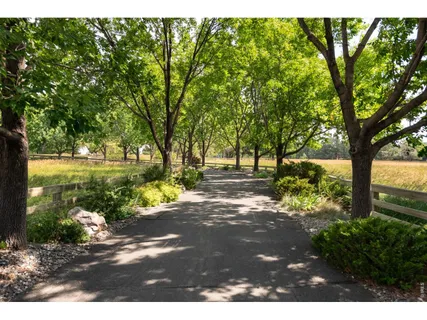 a view of yard with green space and trees around