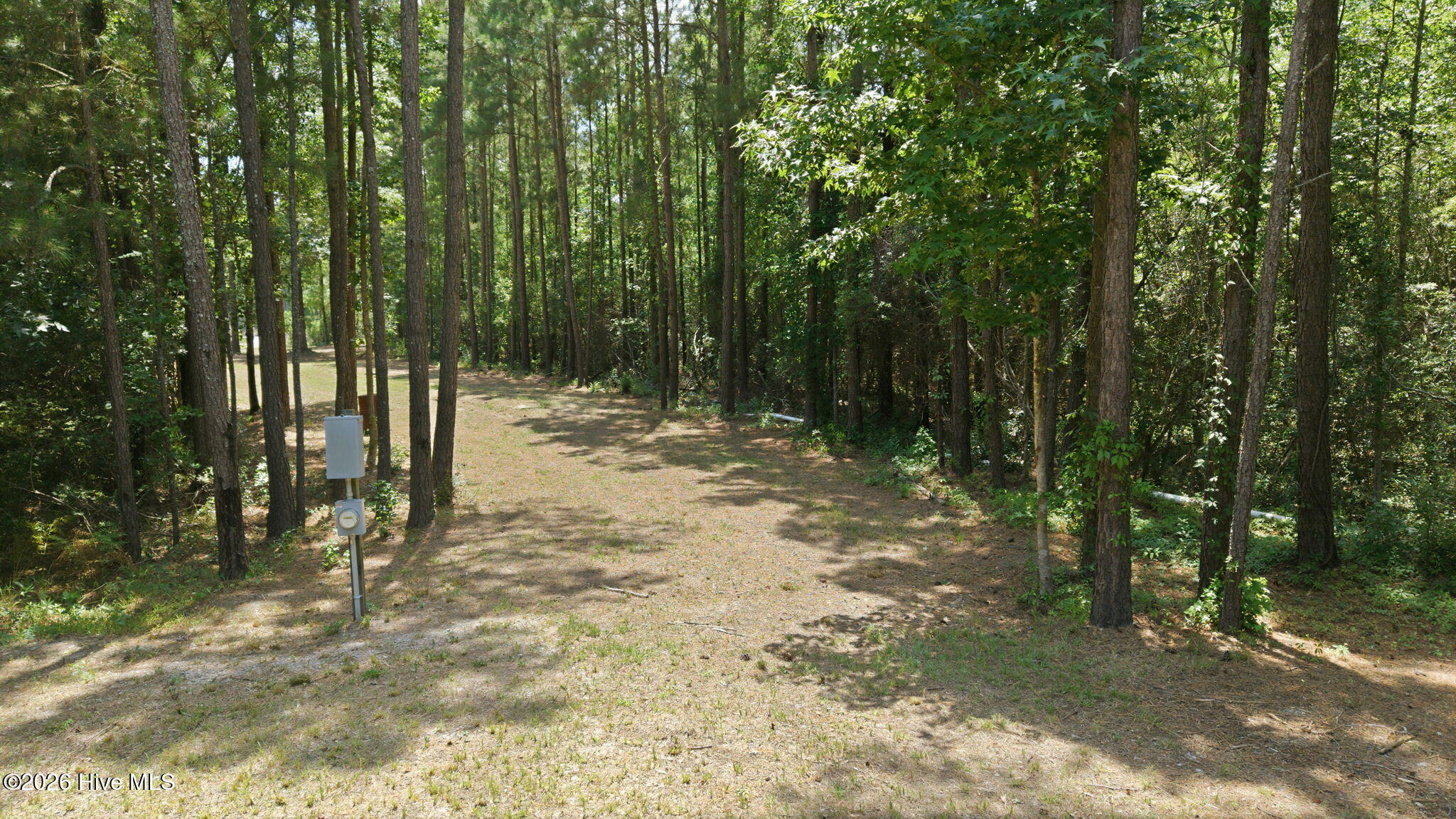 408 Tarpon Pointe Road Bath, NC 27808 - Photo 21 of 23