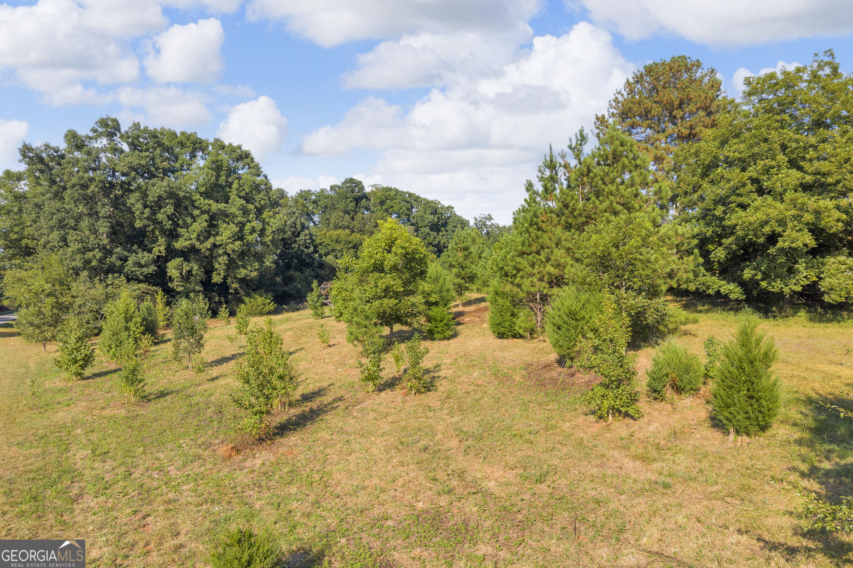 0 New Prospect Road Hartwell, GA 30643 - Photo 15 of 18 Gallery Image 15