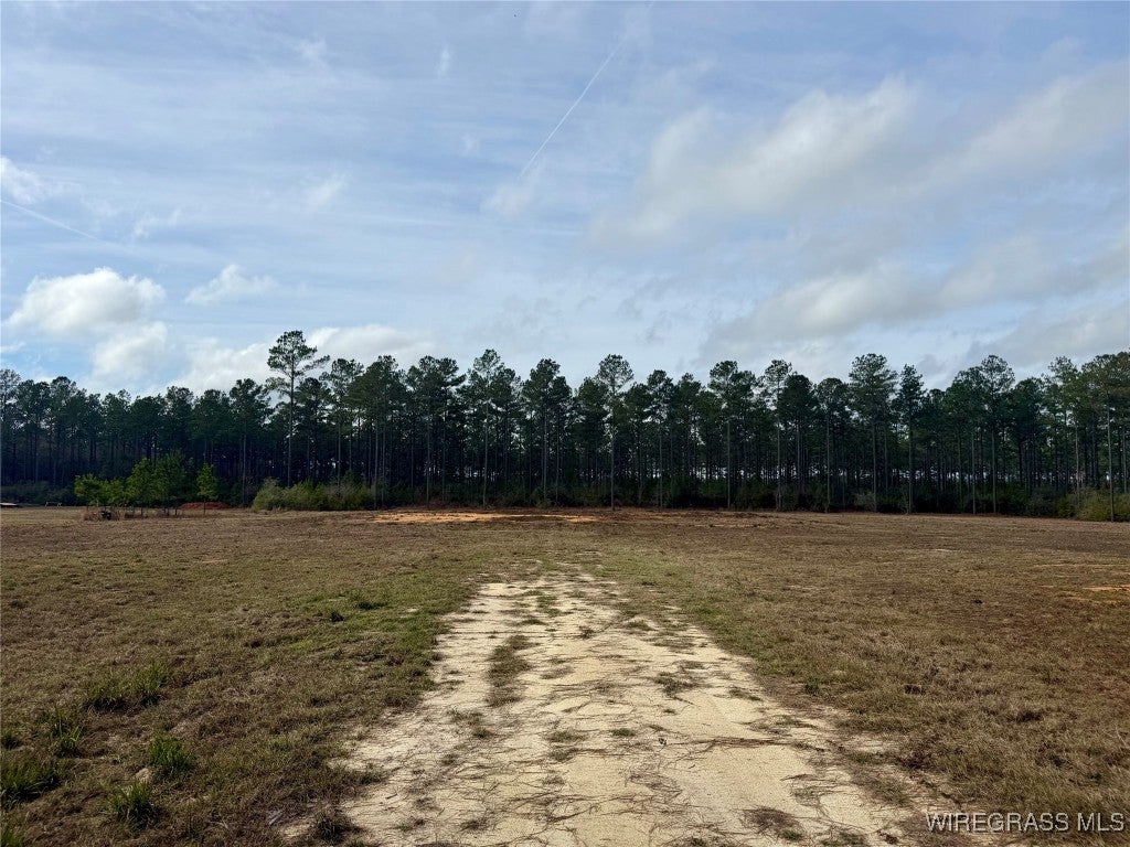 18755 Catherine Bailey Road Andalusia, AL 36420 - Photo 7 of 14 Gallery Image 7