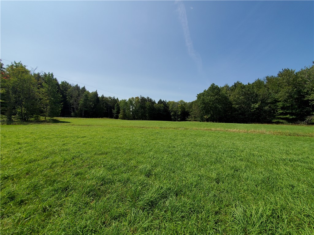 Lot 10 Bull Hill Road Gilboa, NY 12076 - Photo 11 of 31