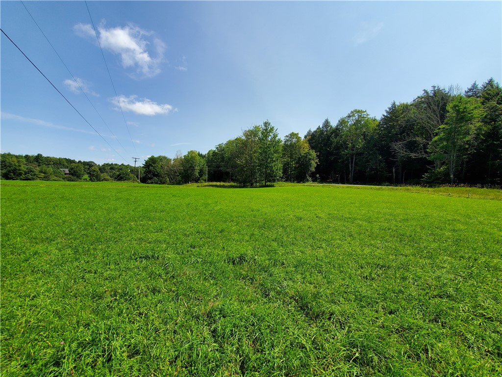 Lot 10 Bull Hill Road Gilboa, NY 12076 - Photo 12 of 31