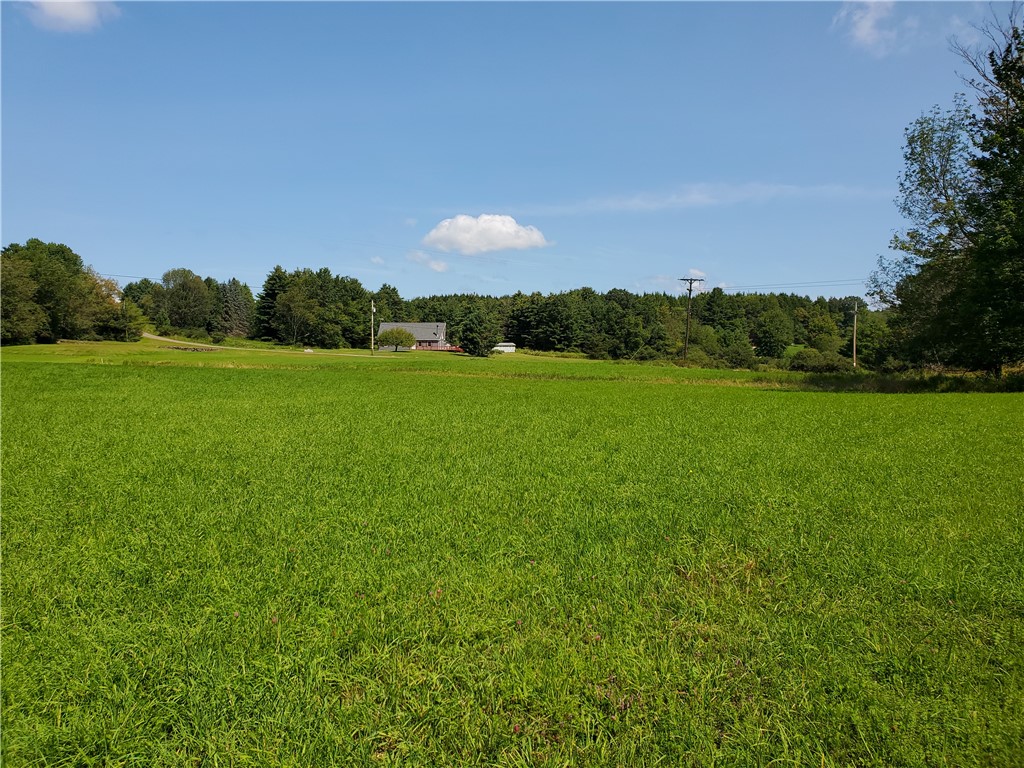 Lot 10 Bull Hill Road Gilboa, NY 12076 - Photo 13 of 31