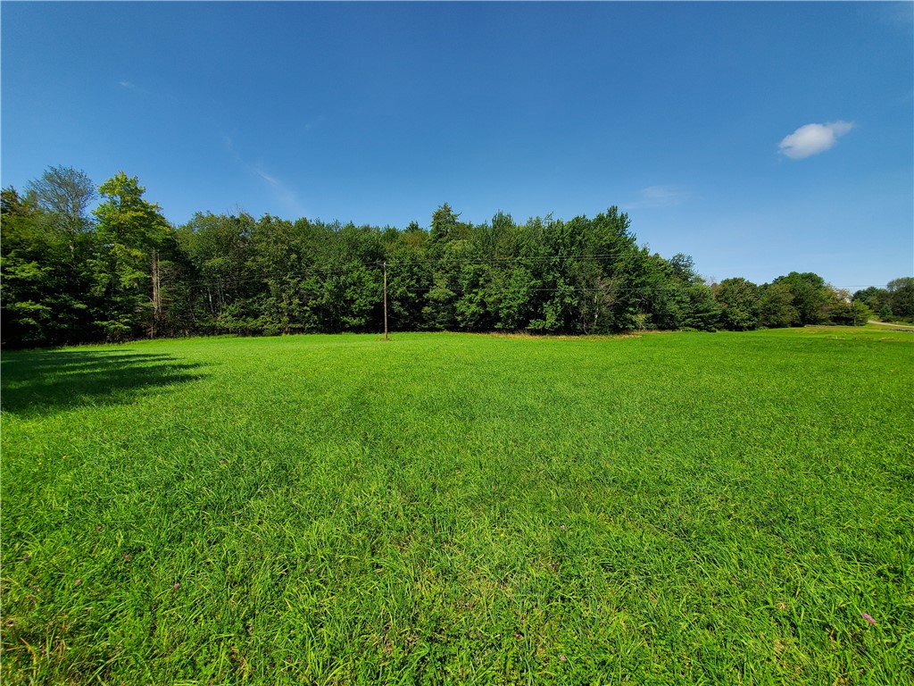 Lot 10 Bull Hill Road Gilboa, NY 12076 - Photo 14 of 31