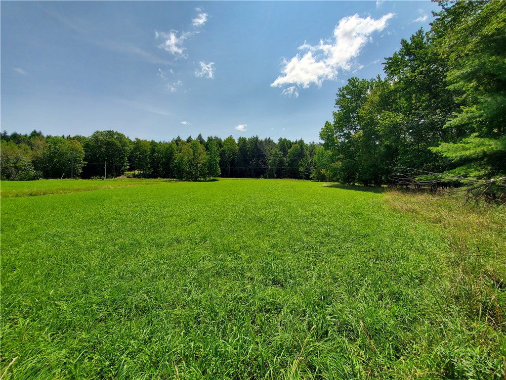 Lot 10 Bull Hill Road Gilboa, NY 12076 - Photo 15 of 31