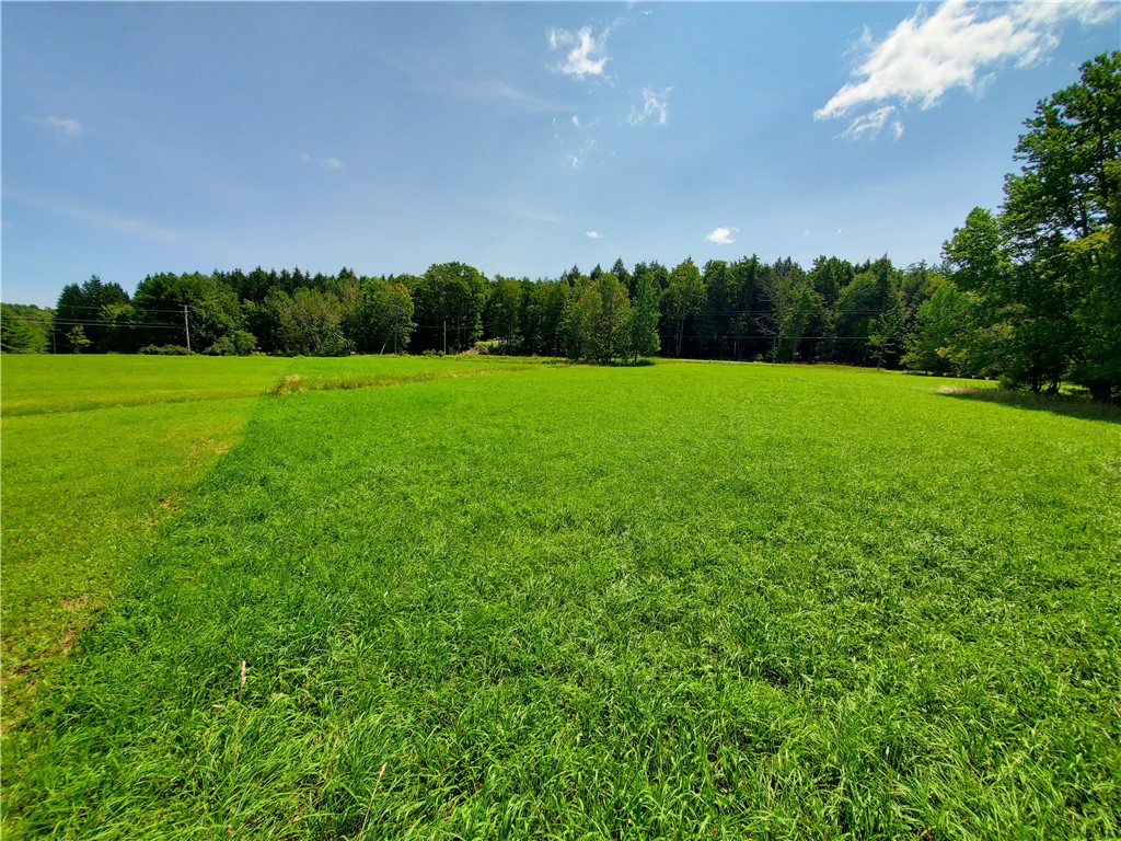 Lot 10 Bull Hill Road Gilboa, NY 12076 - Photo 16 of 31