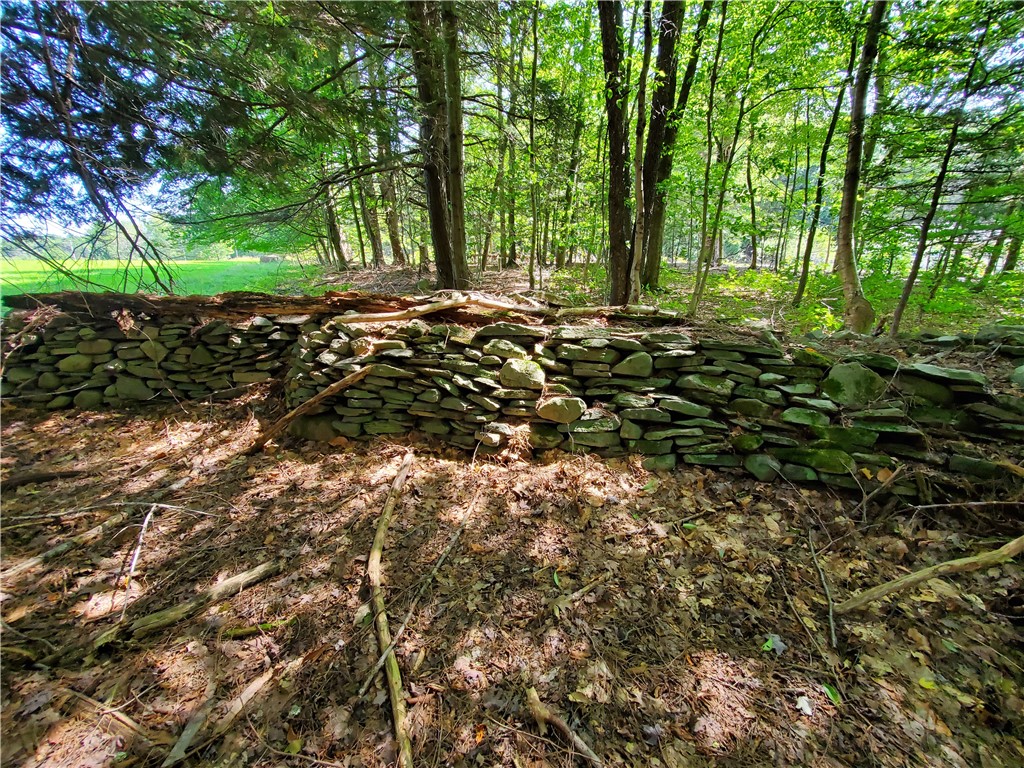 Lot 10 Bull Hill Road Gilboa, NY 12076 - Photo 17 of 31