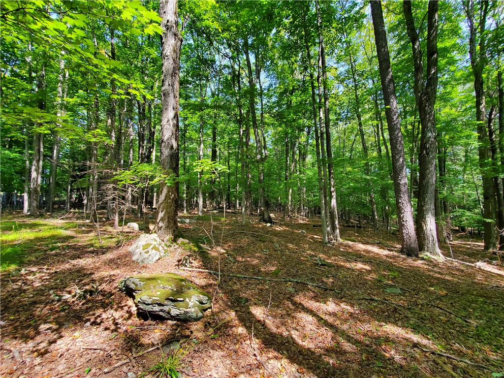 Lot 10 Bull Hill Road Gilboa, NY 12076 - Photo 19 of 31