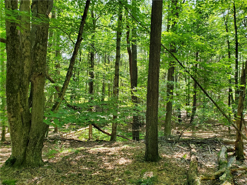 Lot 10 Bull Hill Road Gilboa, NY 12076 - Photo 21 of 31