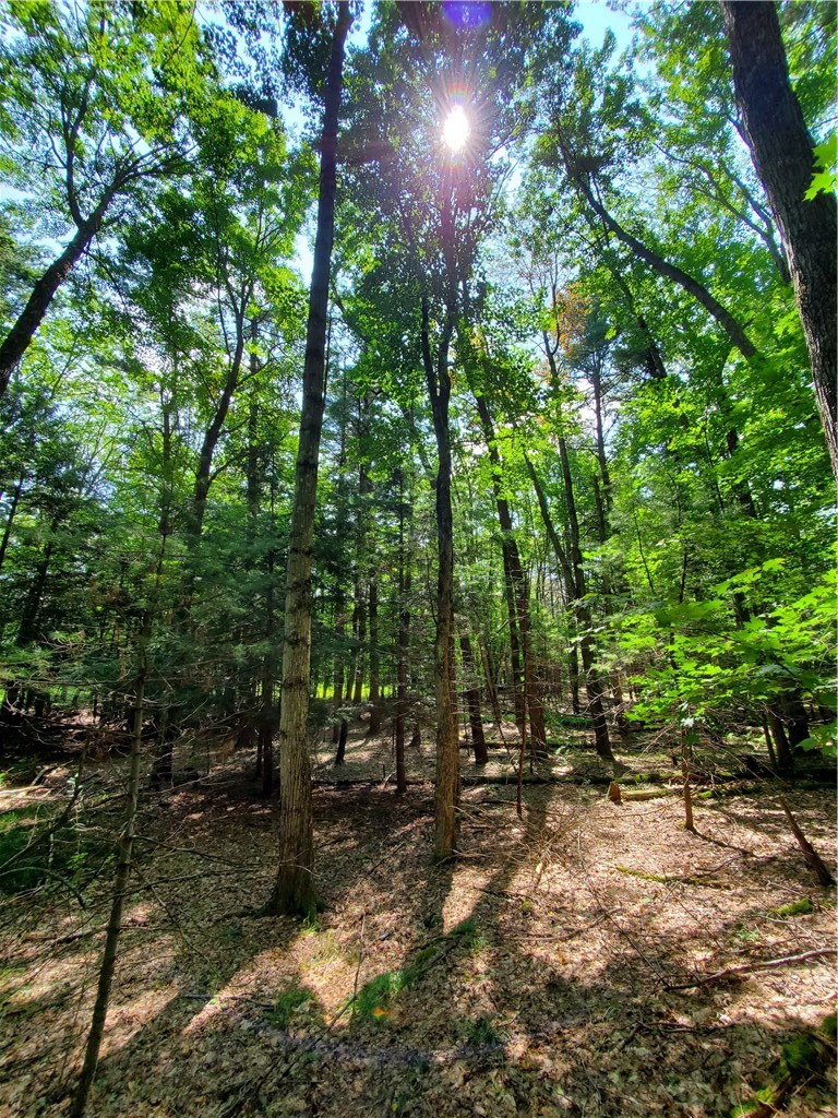 Lot 10 Bull Hill Road Gilboa, NY 12076 - Photo 22 of 31