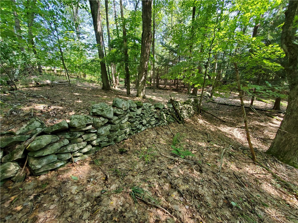 Lot 10 Bull Hill Road Gilboa, NY 12076 - Photo 23 of 31