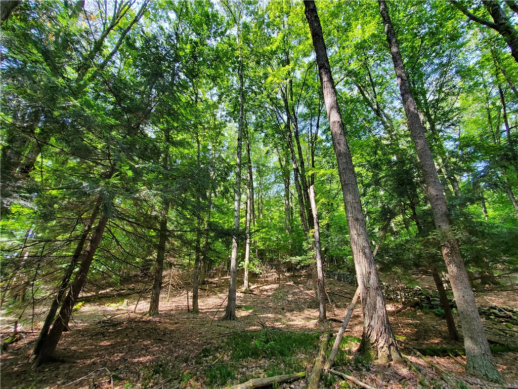 Lot 10 Bull Hill Road Gilboa, NY 12076 - Photo 25 of 31