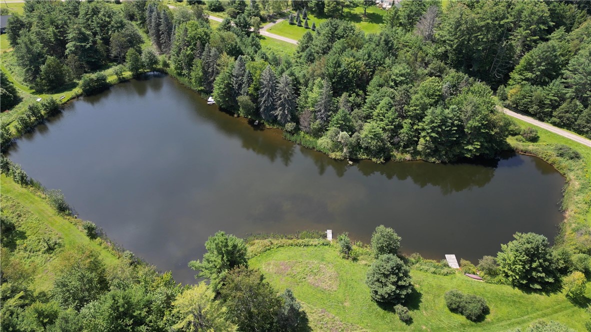 Lot 10 Bull Hill Road Gilboa, NY 12076 - Photo 26 of 31