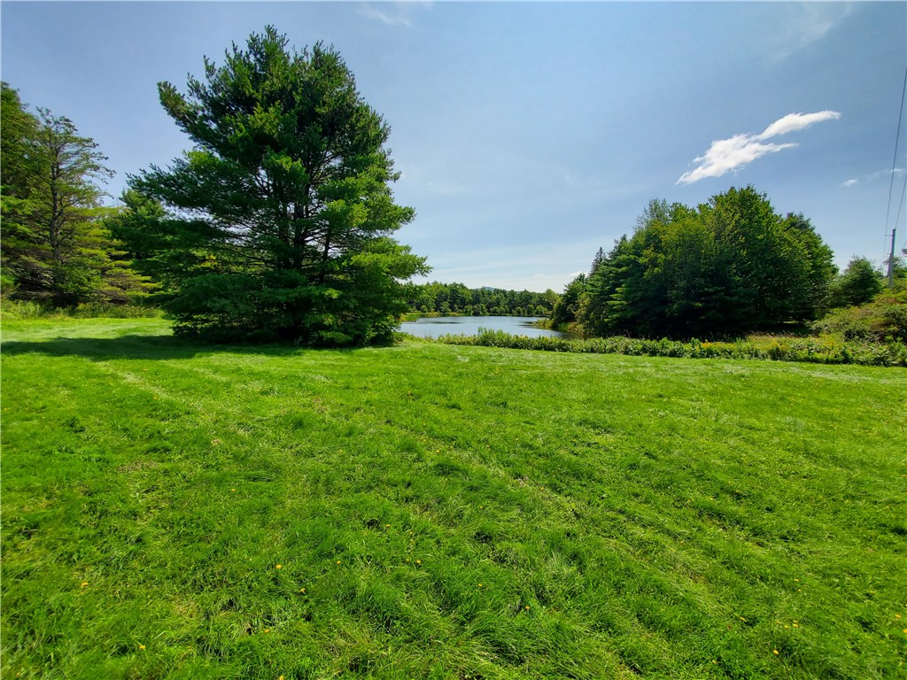 Lot 10 Bull Hill Road Gilboa, NY 12076 - Photo 27 of 31