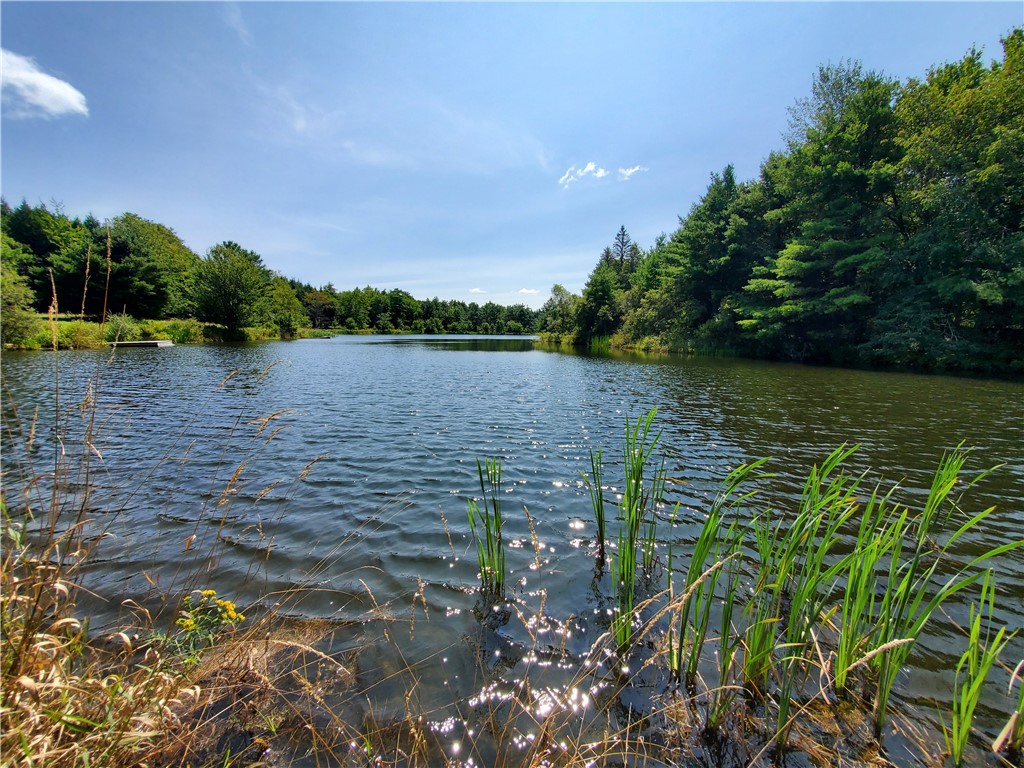 Lot 10 Bull Hill Road Gilboa, NY 12076 - Photo 28 of 31
