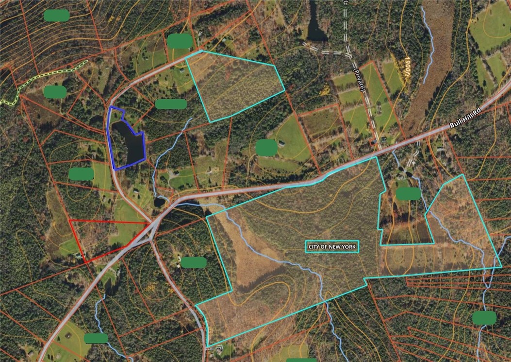 Lot 10 Bull Hill Road Gilboa, NY 12076 - Photo 29 of 31