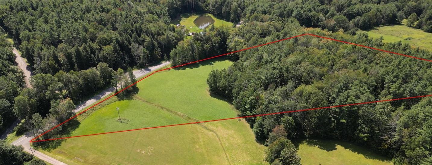 Lot 10 Bull Hill Road Gilboa, NY 12076 - Photo 3 of 31