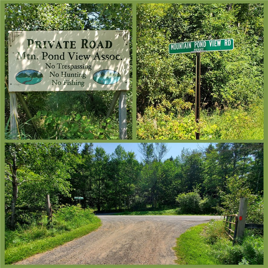 Lot 10 Bull Hill Road Gilboa, NY 12076 - Photo 6 of 31