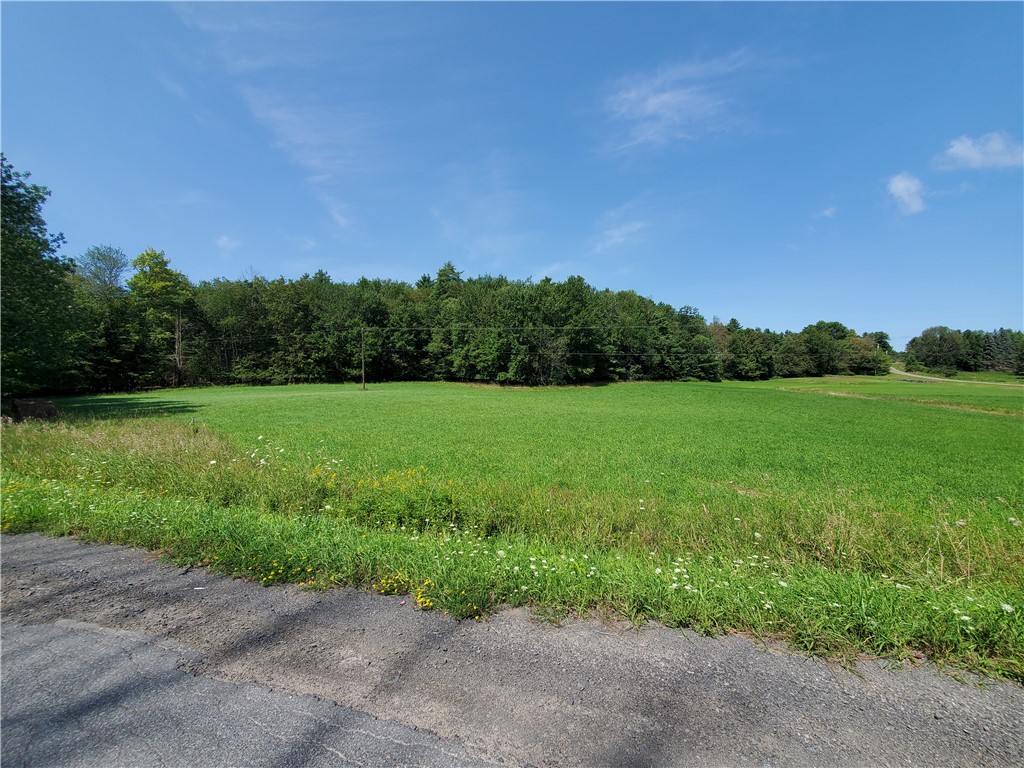 Lot 10 Bull Hill Road Gilboa, NY 12076 - Photo 8 of 31