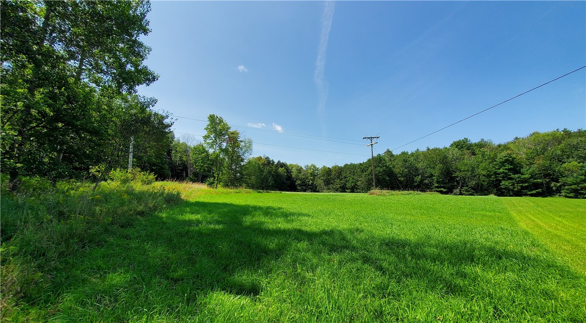 Lot 10 Bull Hill Road Gilboa, NY 12076 - Photo 9 of 31