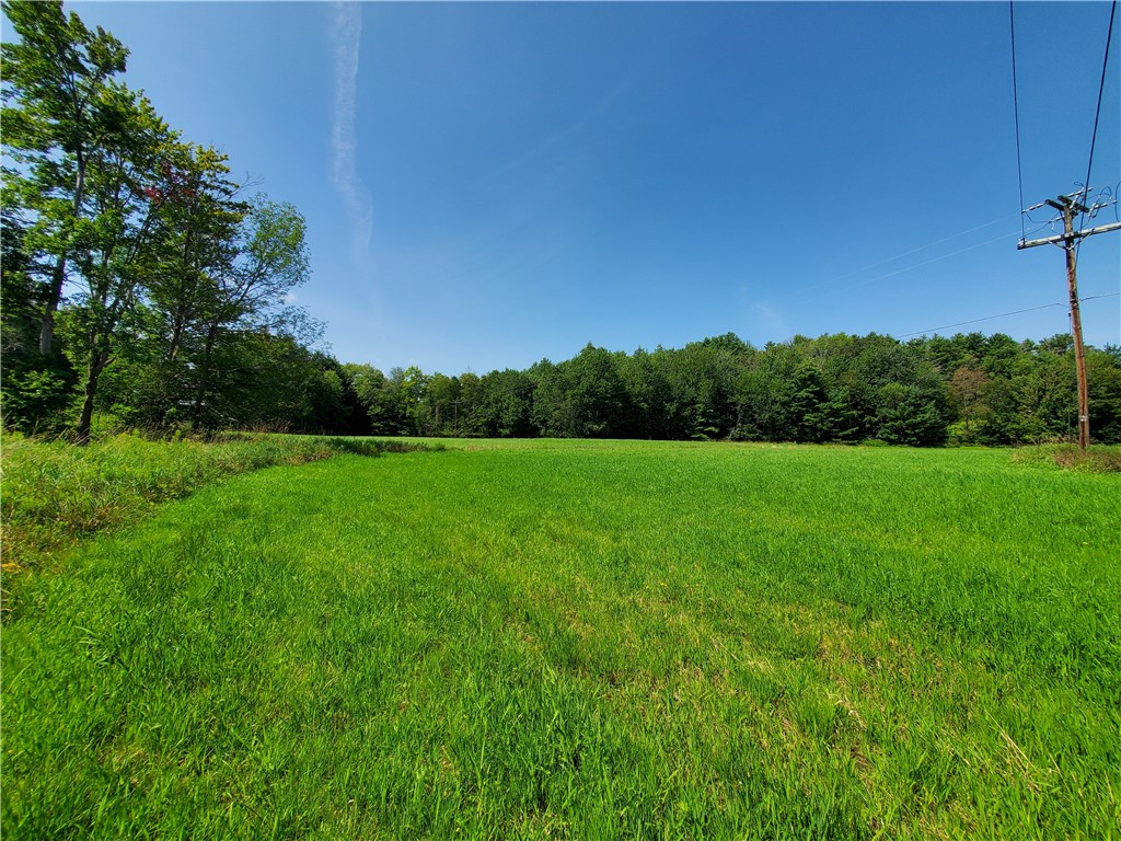 Lot 10 Bull Hill Road Gilboa, NY 12076 - Photo 10 of 31